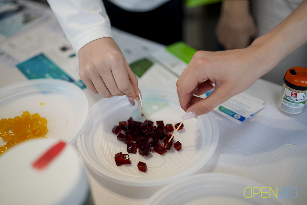 Openbio 2024